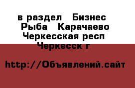  в раздел : Бизнес » Рыба . Карачаево-Черкесская респ.,Черкесск г.